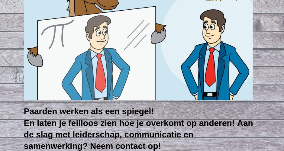 www.paardeninzicht.nl
