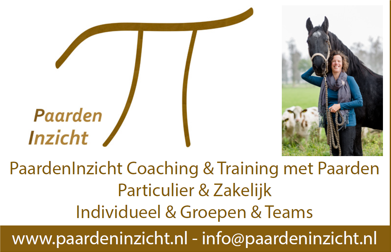 PaardenInzicht Coaching en Training met Paarden - waarbij helpen de paarden - daar geeft Margreet Noordanus van PaardenInzicht in de blog een antwoord op.