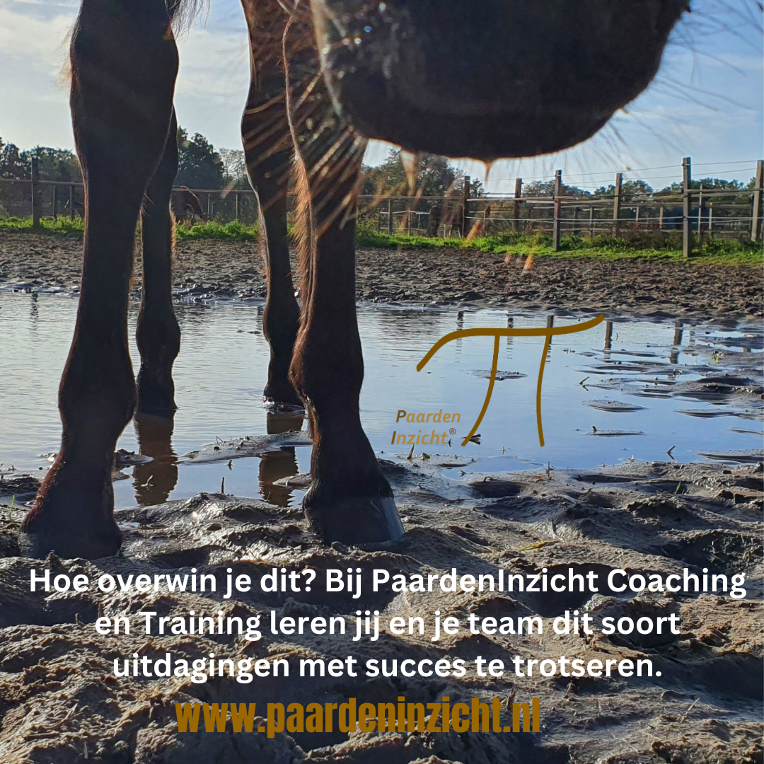 Hoe overwin je dit? Bij PaardenInzicht Coaching en Training leren jij en je team dit soort uitdagingen met succes te trotseren. www.paardeninzicht.nl info@paardeninzicht.nl